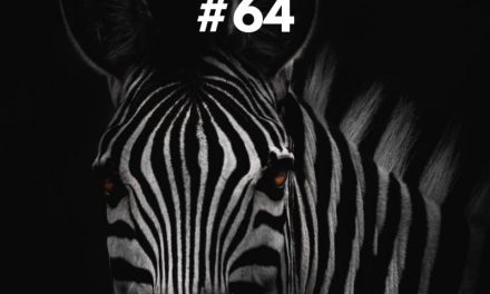 FASTLETTER #64