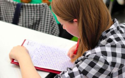 Le CFA entreprise : les nouveautés suite à la loi avenir professionnel