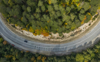 La courbe Ebbinghaus – Entraînez votre mémoire