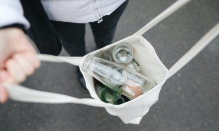 Quel est la place du DRH dans la transition écologique