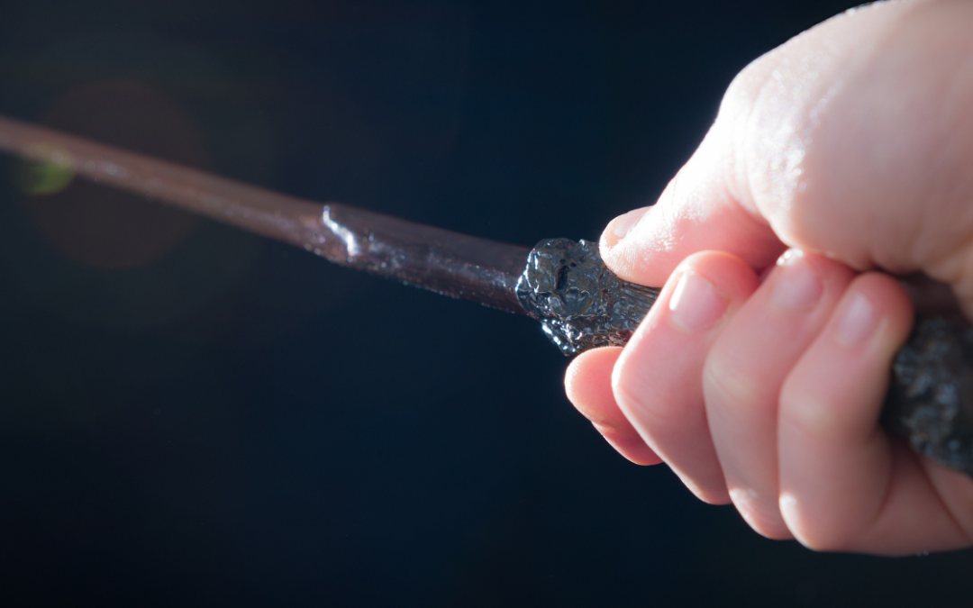 L&rsquo;ingénierie pédagogique, la baguette magique de la transmission ?