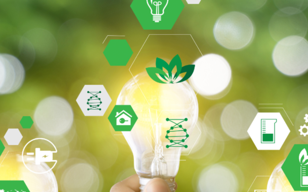 Green Skills : transformez votre entreprise pour un avenir durable