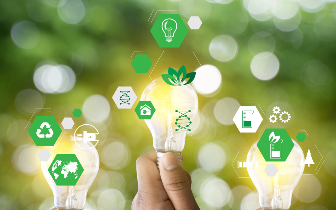 Green Skills : transformez votre entreprise pour un avenir durable