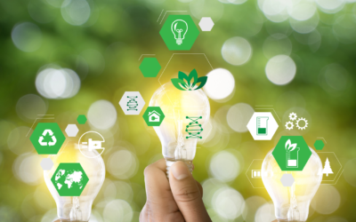 Green Skills : transformez votre entreprise pour un avenir durable