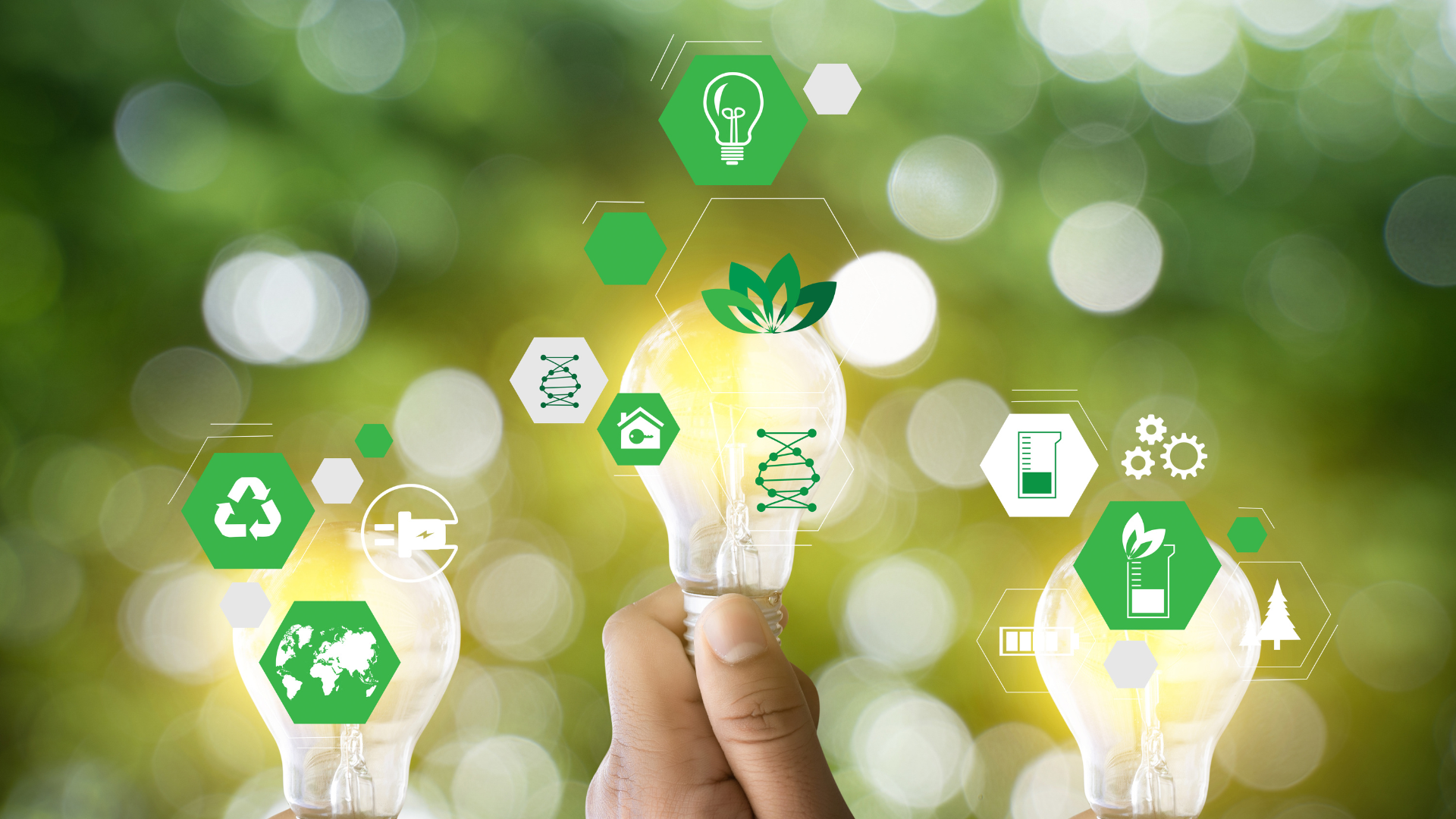 Green Skills : transformez votre entreprise pour un avenir durable