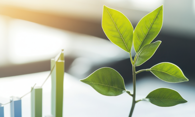 Pourquoi intégrer la transition écologique dans votre stratégie RH ?