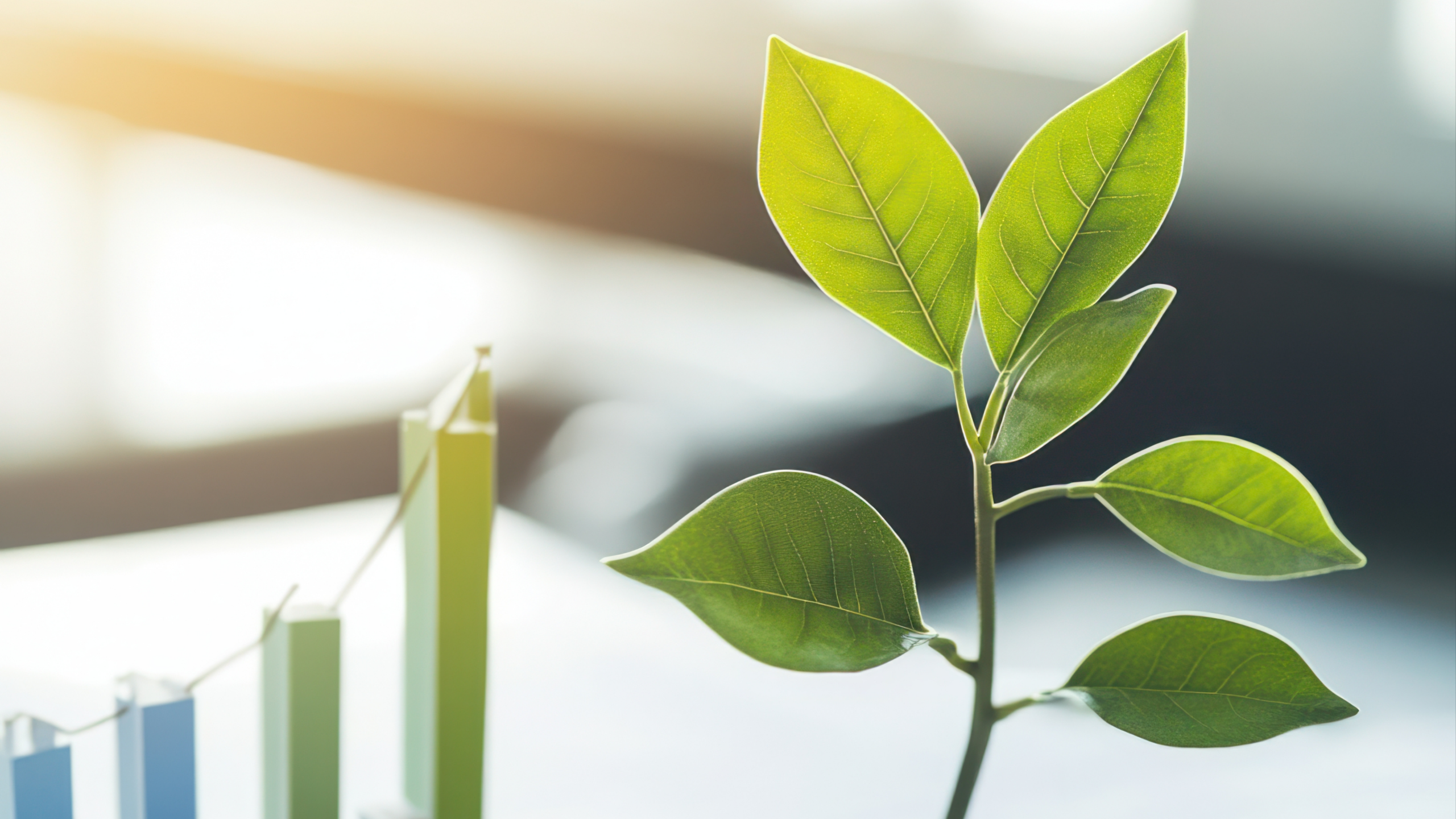 Pourquoi intégrer la transition écologique dans votre stratégie RH ?