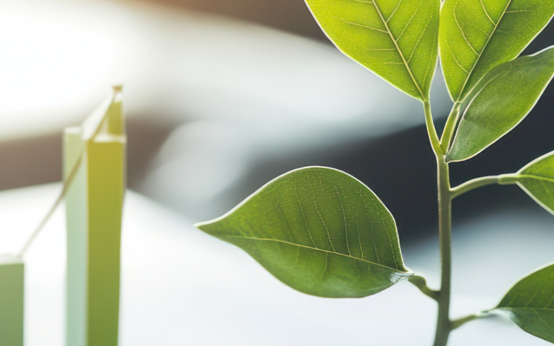 Pourquoi intégrer la transition écologique dans votre stratégie RH ?